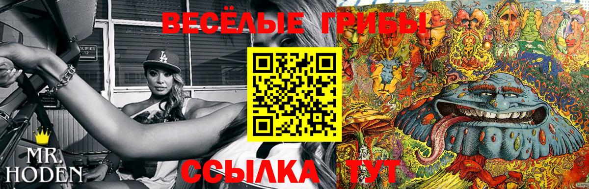 Галлюциногенные грибы Magic Shrooms  Псилоцибиновые грибы ЛСД  Тверь  Вход с VPN 