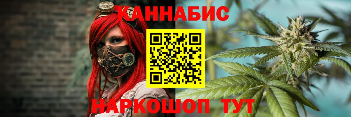 Бошки марихуана план  Конопля индика  Марихуана тримм  Тверь  Вход с VPN  Каннабис марихуана 